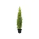 Cypress in modern form, with a natural look-Bild-5