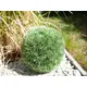 Grass ball imitation-Bild-7
