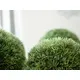 Grass ball imitation-Bild-11
