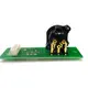  Pcb (INPUT/XLR/QUICKDMX) DMX Split 8x-Bild-2