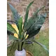 Lifelike leaves, ideal for floral arrangements-Bild-5