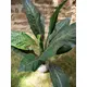 Lifelike leaves, ideal for floral arrangements-Bild-6