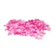 Petali di rosa per una decorazione romantica diffusa-Bild-1