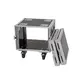 Rack case avec roulettes, PRO version-Bild-3