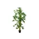 Lifelike bamboo tree-Bild-1