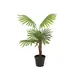 Fan palm with large plastic fronds-Bild-1
