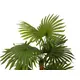 Fan palm with large plastic fronds-Bild-2