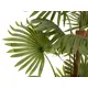 Fan palm with large plastic fronds-Bild-2