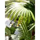 Fan palm with large plastic fronds-Bild-5