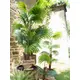 Fan palm with large plastic fronds-Bild-7