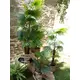 Fan palm with large plastic fronds-Bild-8