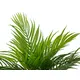 Young artificial areca palm from PE-Bild-3