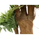 Arecapalme mit Palmfaserstamm-Bild-3