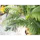 Lush greenery for indoor decorations-Bild-13