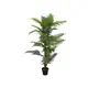 Lush greenery for indoor decorations-Bild-2