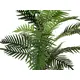 Lush greenery for indoor decorations-Bild-3
