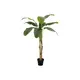 Banana tree with trunk covered by natural material-Bild-1