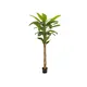 Banana tree with trunk covered by natural material-Bild-1