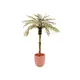 Ein absoluter Eye-Catcher,  Stamm mit Palmfasermaterial-Bild-1
