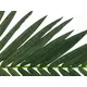 Decorazione di palme per banchi e coperture-Bild-3