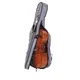 Cello 1/2-Bild-2