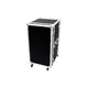 ROADINGER Amplifier Wack PR-2, 18U, 47cm with wheels-Bild-1