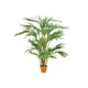 Canary date palm with textile leaves-Bild-1