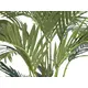 Canary date palm with textile leaves-Bild-2