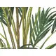 Canary date palm with textile leaves-Bild-3