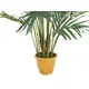Canary date palm with textile leaves-Bild-4