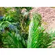 Kentia palm with large fronds made of high quality PEVA-Bild-14