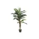 Lifelike palm with natural trunk and fronds made of high-quality textile material-Bild-1
