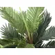 Lifelike palm with natural trunk and fronds made of high-quality textile material-Bild-2