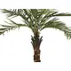 Kentia palm with fashionably processed trunk made of plastic-Bild-2