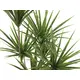 Yucca en plastique de haute qualité-Bild-2