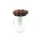 Extra light and sturdy decorative pot-Bild-2