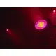 Outdoor-Scheinwerfer (IP65) mit RGB/WW-Farbmischung und RGB-Ambientbeleuchtung-Bild-10