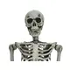 Personnage debout : Squelette-Bild-3