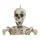 Halloween-Figur Skelett-Bild-2