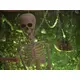 Halloween-Figur Skelett-Bild-8