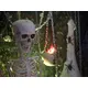 Halloween-Figur Skelett-Bild-9