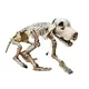 Animated dog skeleton with light and sound effects-Bild-1