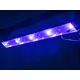 Set with flower effect, washlight and black light/stroboscope bar-Bild-12