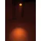 PRO Spot in LED-DMX-Ausführung-Bild-8