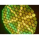 Warmweißer Blinder mit zusätzlichen farbigen LEDs für atmosphärisches Licht-Bild-9