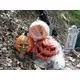 Pumpkin with skull mask for hanging or standing-Bild-4