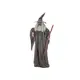 Animated standing figure medieval magician-Bild-1
