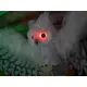 Chouette blanche animée, effets lumineux et sonores, capable de mouvement-Bild-5