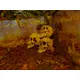 Skulls in a set of 3 as scary decorations-Bild-5