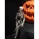 Bewegliches Skelett für Halloween-Inszenierungen-Bild-7